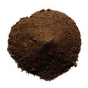 Curcuma noir