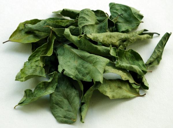 Feuilles de curry sèches